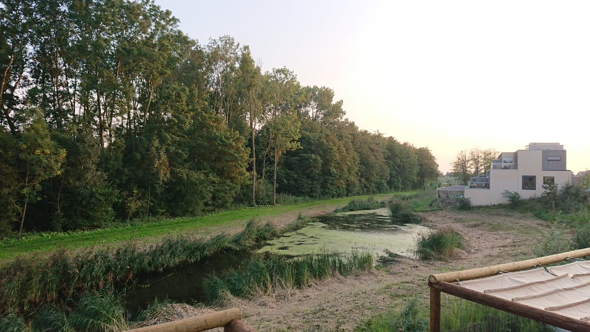 My view today, having dinner outside, after interviewing <a href="/kathyfrankovic/">Kathy Frankovic</a> and @benatipsosmori about #polling on the #InsightsFest2020 TalkShow #esomar. See everything Esomar has on polling: esomar.org/polling