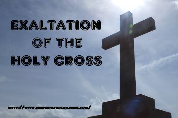 "The revelation of God’s love for us seems madness. Every time that we look at the cross, we find this love. The crucifix is truly the great book of God’s love. " 
                                                                             Pope Francis
See translation