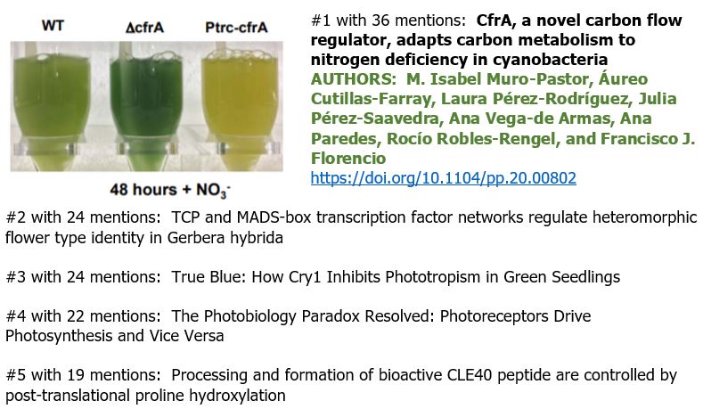 PlantPhys's tweet photo. Read the top 5 Plant Physiology articles of the week based on number of mentions.  @fjfbellido @PaulaElomaa See #1 -- CfrA, a novel carbon flow regulator, adapts carbon metabolism to nitrogen deficiency in cyanobacteria  -- https://t.co/75R5X3x5ww https://t.co/wu7AwDb0EQ