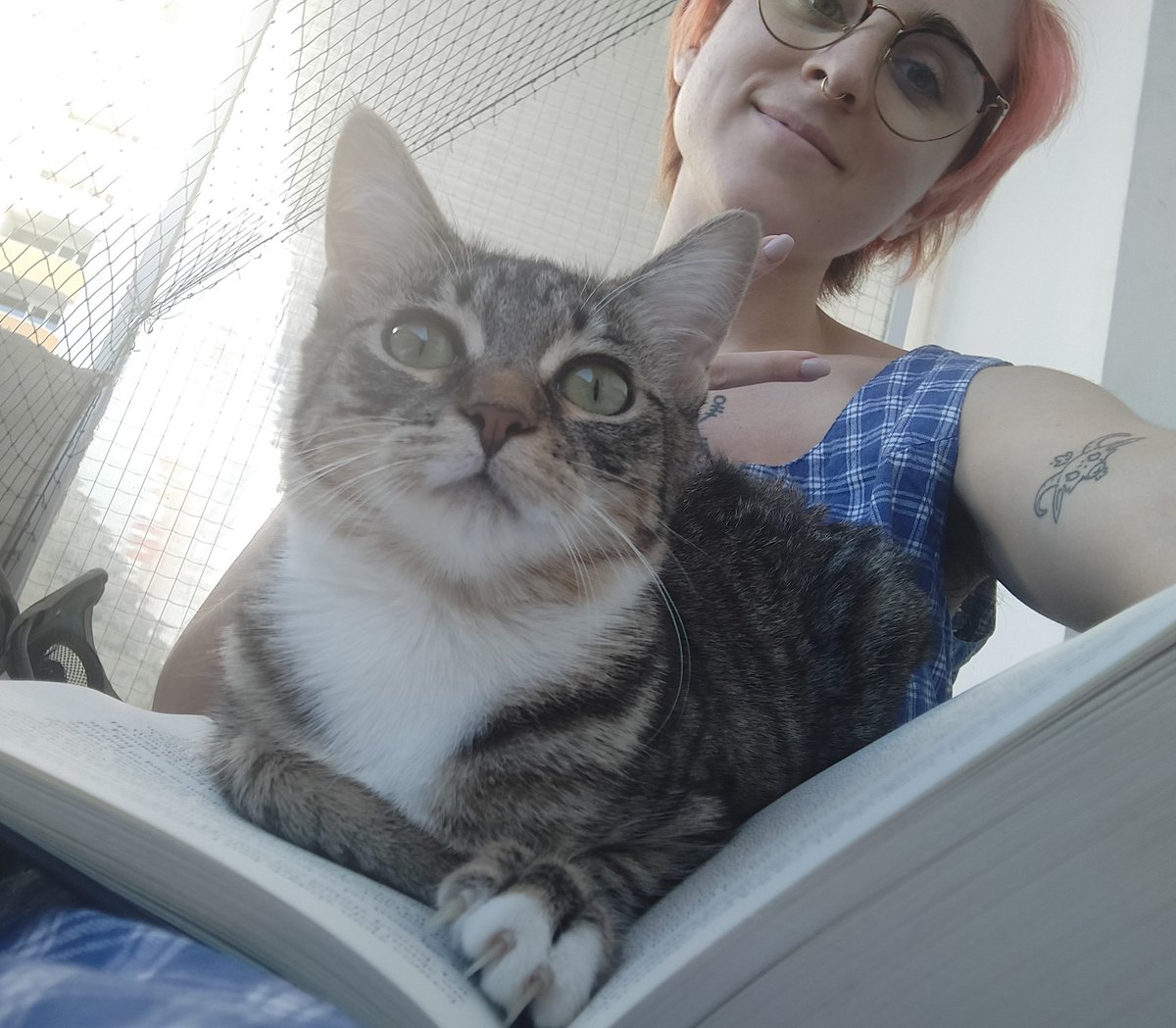LaChroNiqueTM's tweet photo. Yo fam #jegardemespoils et je vais au contact de tous ceux qui m'insultent dans la rue, donc les Jean Mi sur internet 🤧🤧🤧 could not care less. Bref courage personne ne devrait être obligée de correspondre à des critères de beauté, quels qu'ils soient https://t.co/4lLtVXzVar