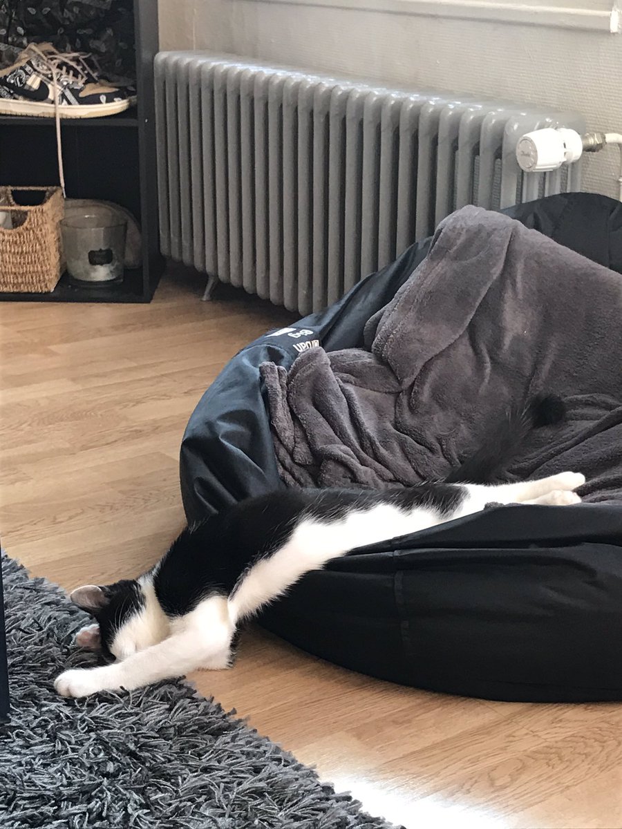 zizizklr's tweet photo. Tout abandonner pour devenir un chaoui https://t.co/KhqhI6Ca72