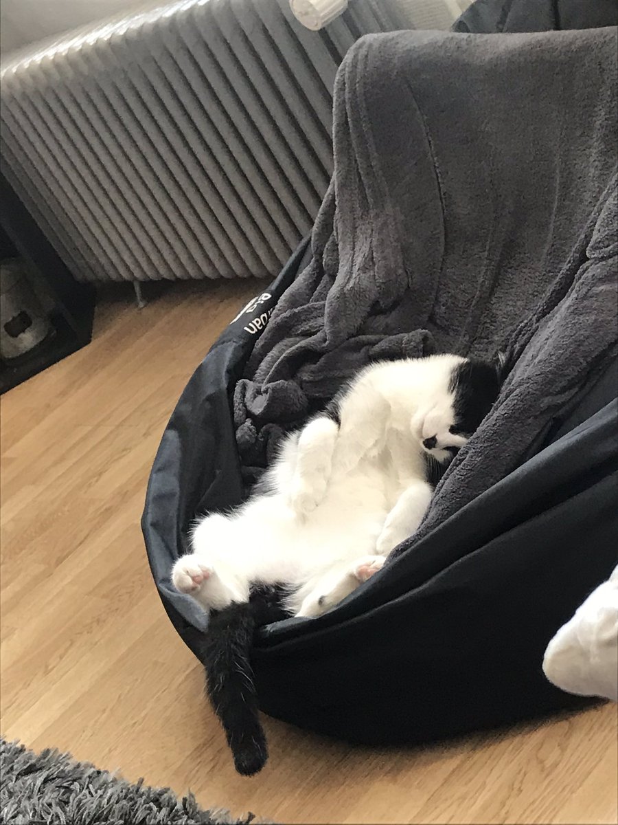 zizizklr's tweet photo. Tout abandonner pour devenir un chaoui https://t.co/KhqhI6Ca72