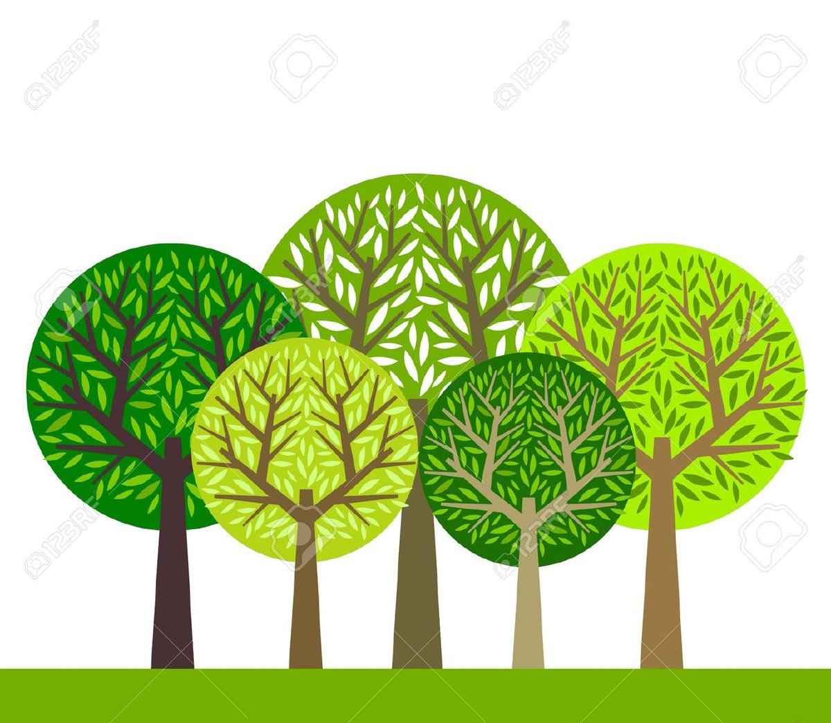 GinoServato's tweet photo. 10 razones para combatir el Cambio Climático por medio de la reforestación 💚 en este hilo: https://t.co/hGd7GbBkeU