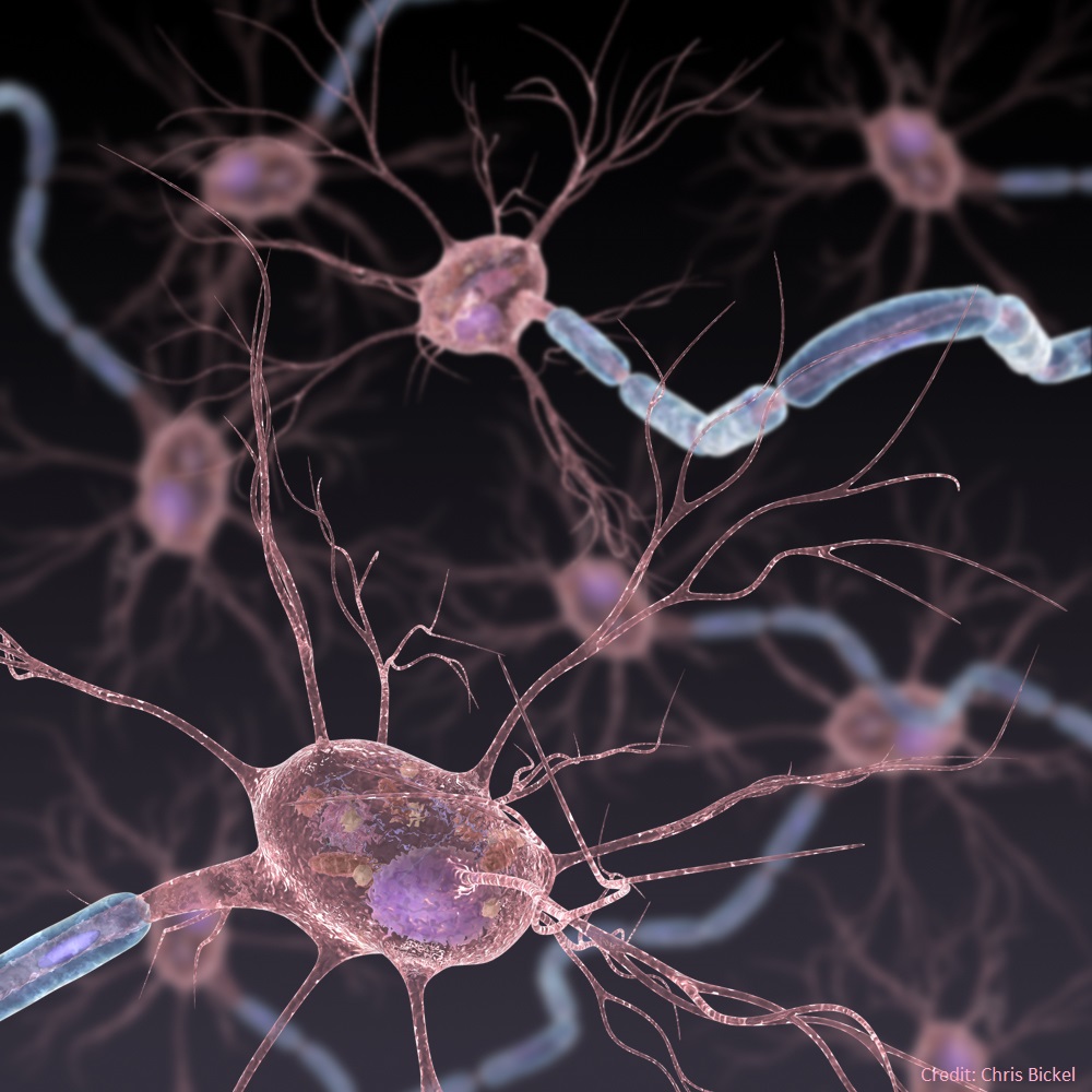 ScienceMagazine tweet picture