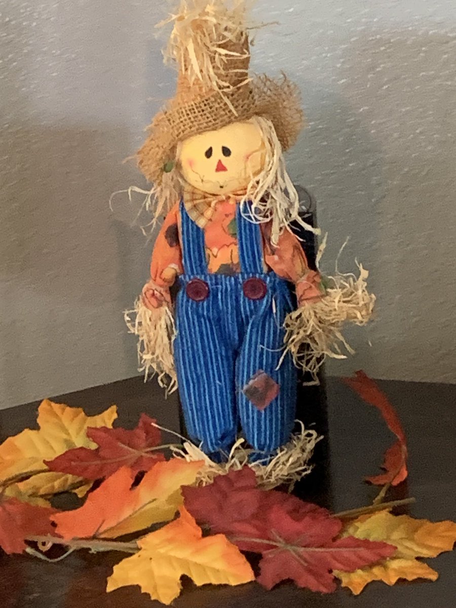 LisaMccaskey's tweet photo. Just pulling out a few Fall decorations! I’m ready for Fall ya’ll! Lol #lisamccaskey #bellame #fall #scarecrows #pumpkins #leaves #imready #decoration #monday https://t.co/zu9rBpxVuZ