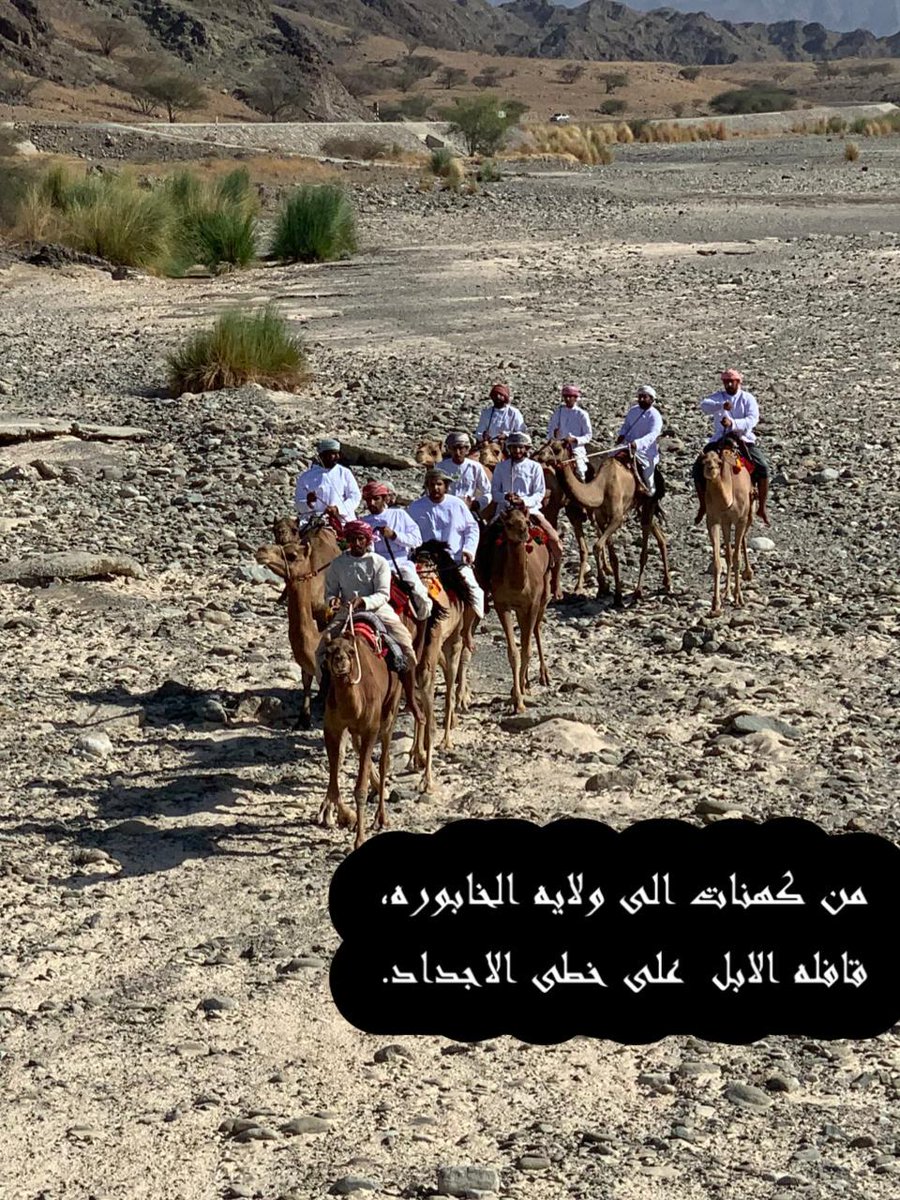 Dhahirahtourism's tweet photo. #السياحة_في_الظاهرة
تحت عنوان (مسير على خطى الأجداد)
نظم أبناء بلدة كهنات بولاية عبري مسير على ظهور الإبل مرور بالطريق الذي يسلكه الأجداد قديماً إلى ولاية الخابورة بمحافظة الباطنة. https://t.co/Wu9zmVXya7
