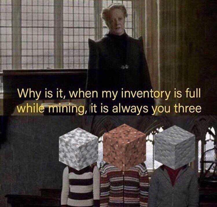 BenInLoveTwitch's tweet photo. Gotta keep your inventory organized. #minecraft #minecraftpc #minecraftmeme #minecrafter https://t.co/nhhkx41e33
