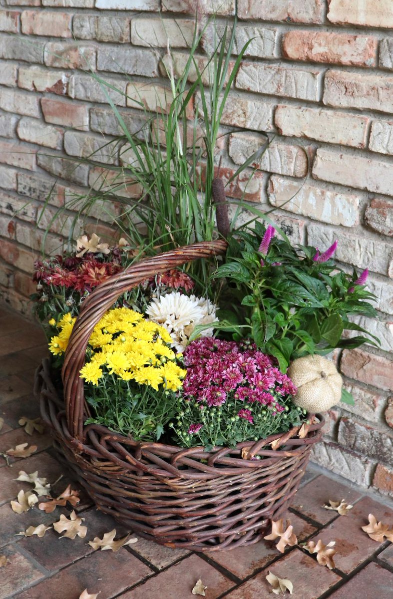 Laura from <a href="/DecorToAdore/">Decor To Adore</a> has pulled out the velvet pumpkins to adorn her beautiful Texas home. Click here to tour her fall home ... decortoadore.net/2020/09/fall-a…
