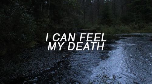 humangrumpycat's tweet photo. google your name + horror + aesthetic https://t.co/aKXB3JXx59