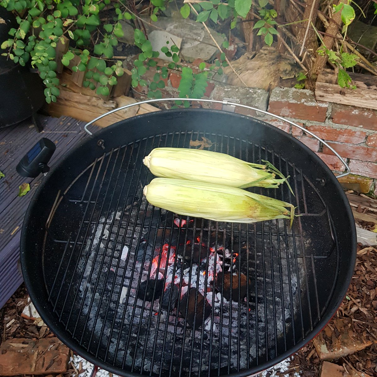 More than a little possible at this point that the corn on the cob will be the only things remotely BBQ'd before I abort due to lack of heat and cook everything else inside.