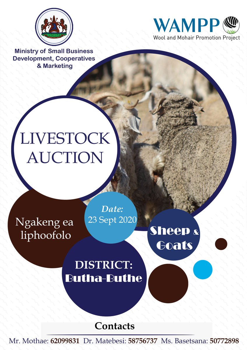 MSCM_Lesotho's tweet photo. The Ministry of Small Business Development, Cooperatives and Marketing through WAMPP will host a Livestock Auction at Butha Buthe on the 23rd September 2020! The animals that will be auctioned are Sheep and Goats! https://t.co/ptt6gMg6pK