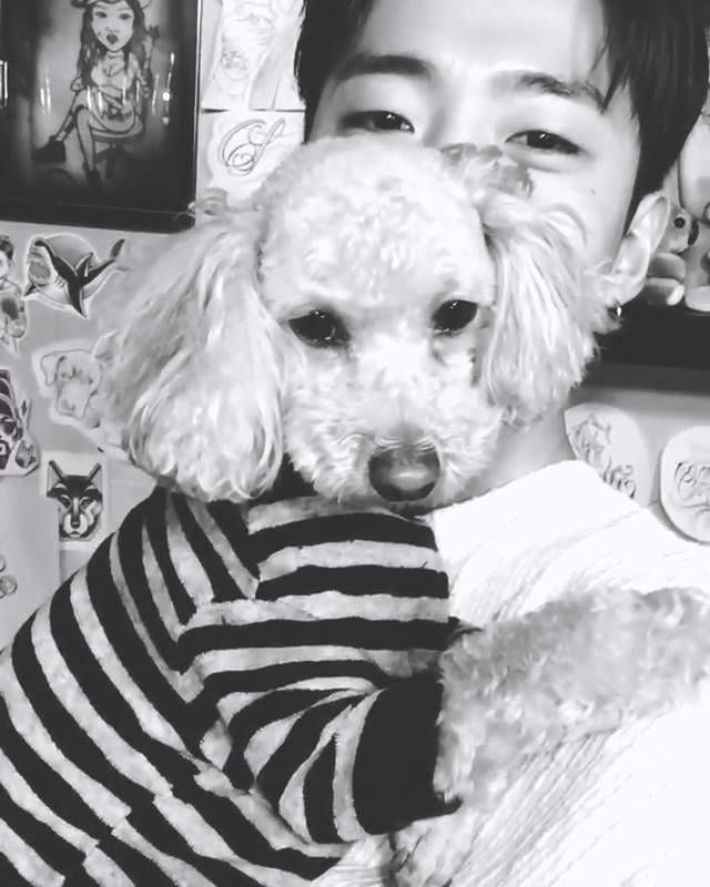 BapHourly's tweet photo. 🥺 https://t.co/Bo7uX0LULq