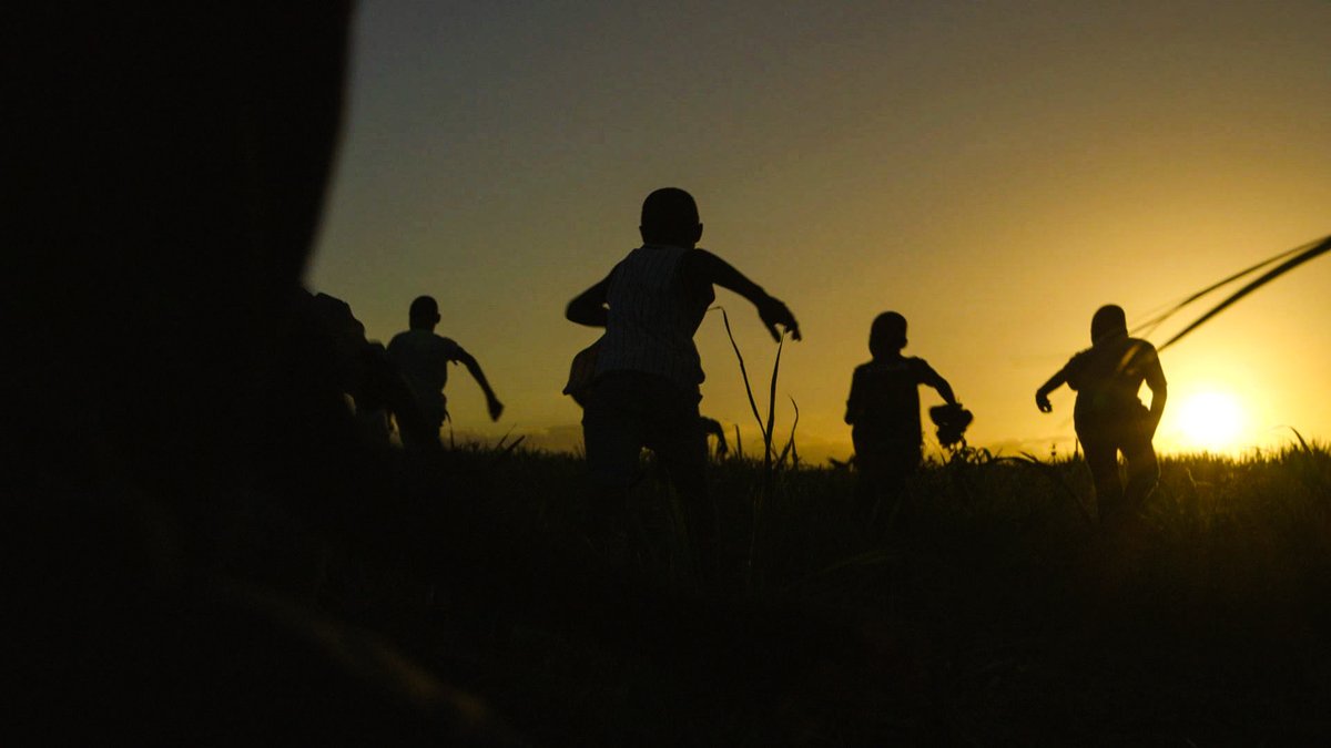 ttfilmfestival's tweet photo. In competition for Best Documentary Feature “Stateless” is screening until midnight to the English-speaking Caribbean at https://t.co/OzyWjDJAad
#ttff20online #watchsomething https://t.co/9EpblMeGSH