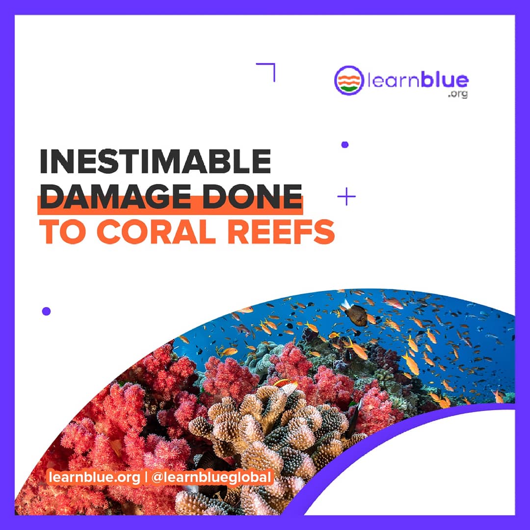 learnblueglobal's tweet photo. One of the biggest challenges being posed by the crazy #oilspill at Mauritius is the destruction of coral reefs, exposing #lifebelowwater to danger!
Sign Petition now to help raise awareness on this
https://t.co/q3eTsStg2J
#ItBeginsWithUs #LearnBlue #Goal16 #MauritiusOilSpill us https://t.co/r0ksQ6goXb