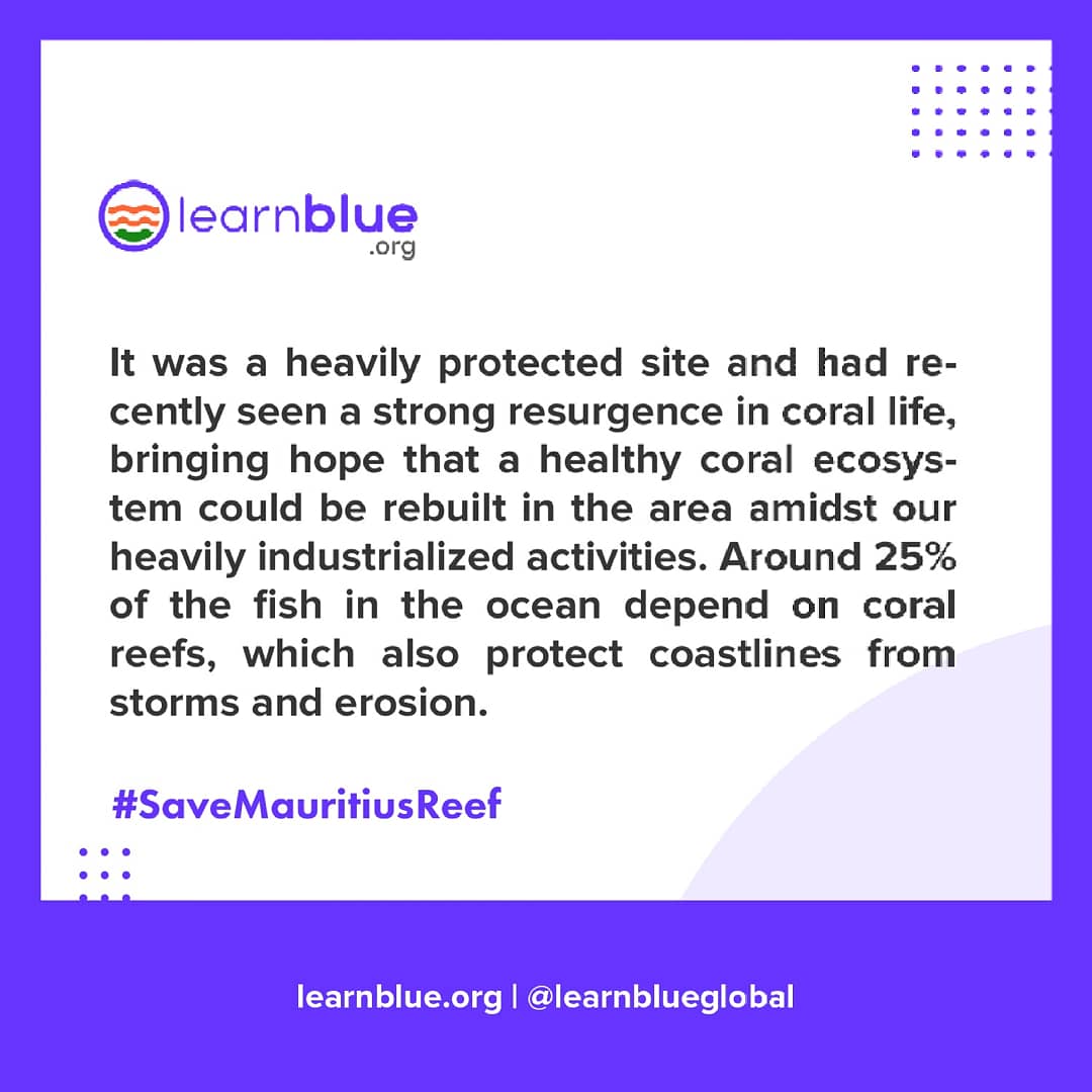 learnblueglobal's tweet photo. One of the biggest challenges being posed by the crazy #oilspill at Mauritius is the destruction of coral reefs, exposing #lifebelowwater to danger!
Sign Petition now to help raise awareness on this
https://t.co/q3eTsStg2J
#ItBeginsWithUs #LearnBlue #Goal16 #MauritiusOilSpill us https://t.co/r0ksQ6goXb
