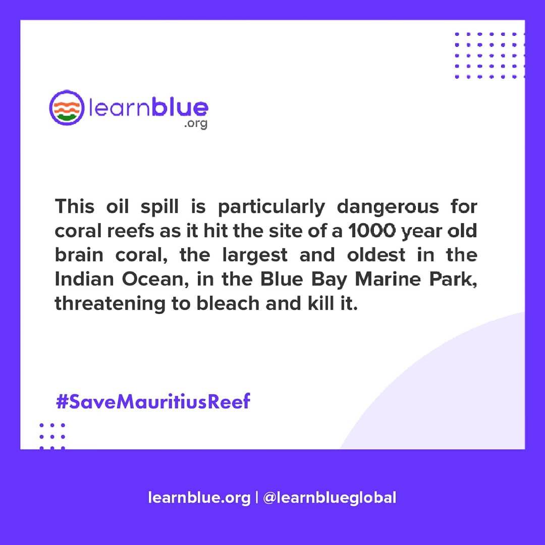 learnblueglobal's tweet photo. One of the biggest challenges being posed by the crazy #oilspill at Mauritius is the destruction of coral reefs, exposing #lifebelowwater to danger!
Sign Petition now to help raise awareness on this
https://t.co/q3eTsStg2J
#ItBeginsWithUs #LearnBlue #Goal16 #MauritiusOilSpill us https://t.co/r0ksQ6goXb