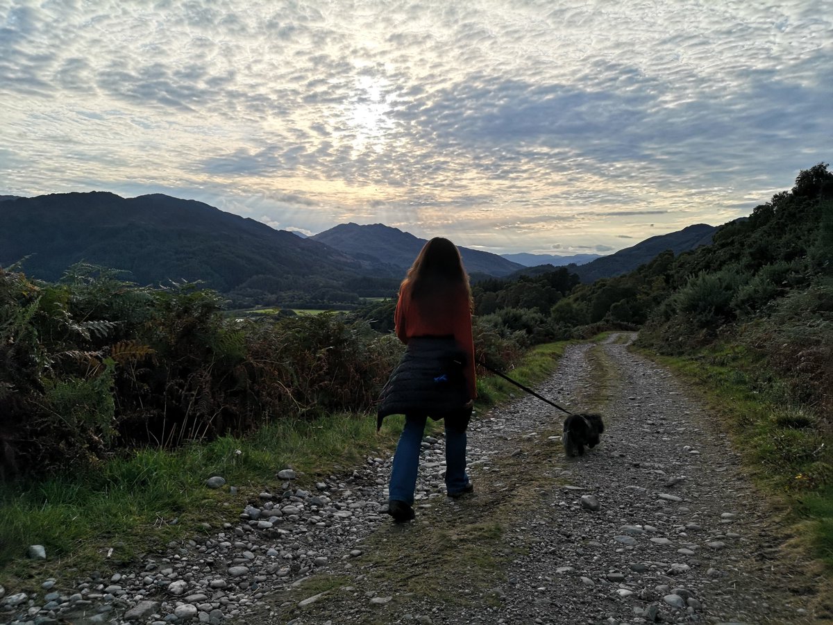 i_findlay's tweet photo. This evening's after work walk. Mamm Road near Comrie. #HumansOfTheWalk https://t.co/LNFflHgXHj