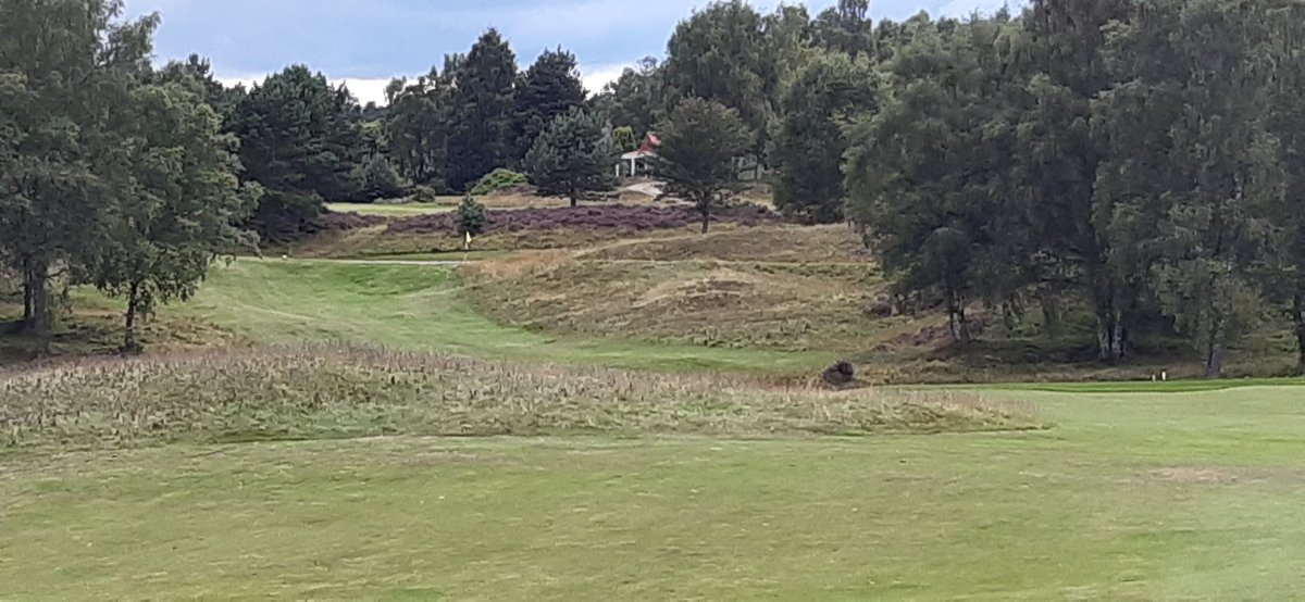 highlanderjamie's tweet photo. Great deal for a great friendly club @golfhighland https://t.co/tVTuzwBfdV