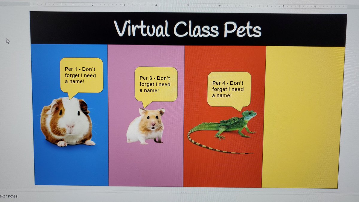 Stephanie Da Silva tweet media