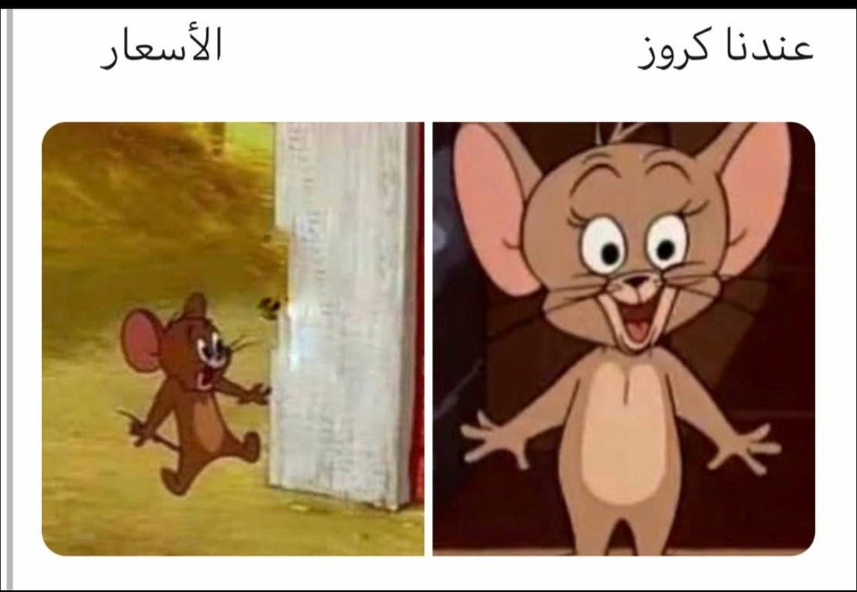 شيماء🇸🇦 tweet media