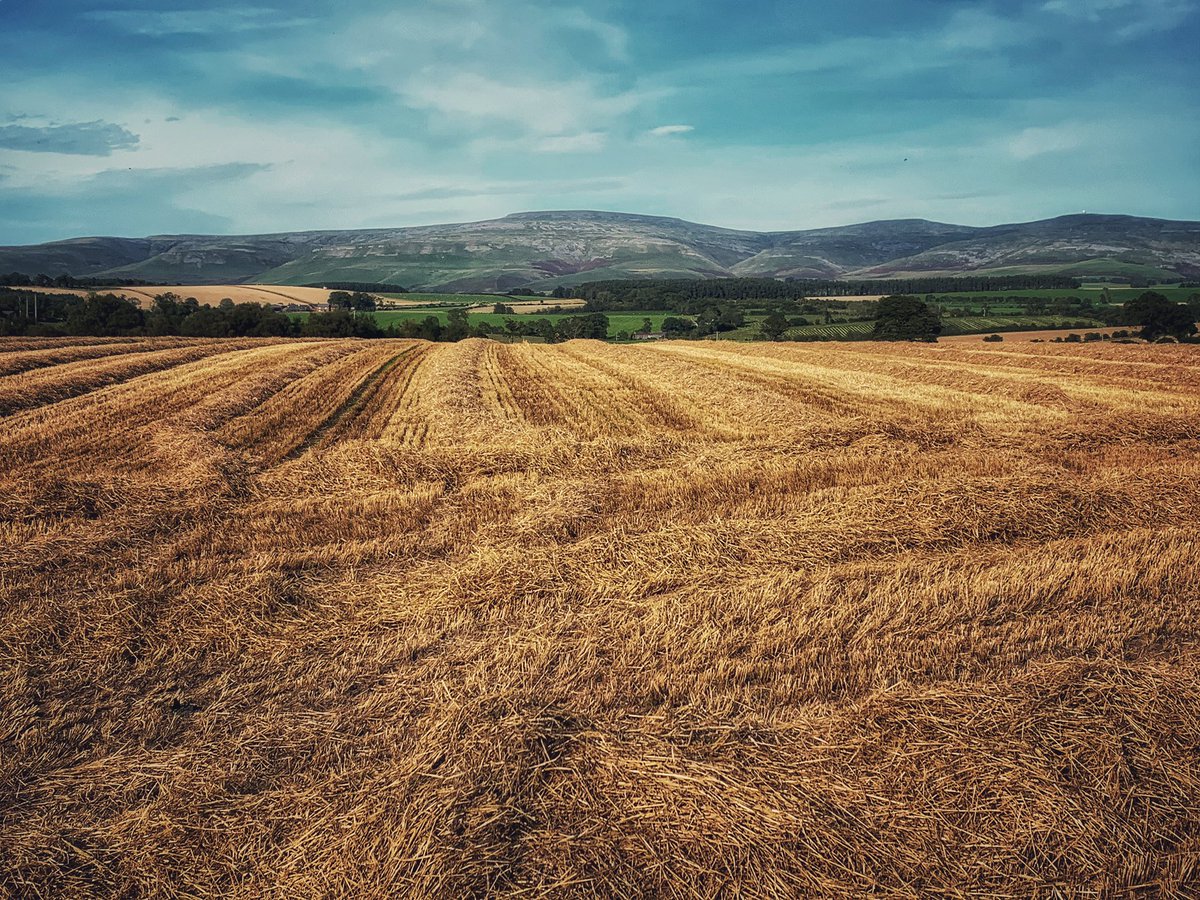 terrybnd's tweet photo. Cross Fell this afternoon from near home after a cycle #Cumbria #getoutside https://t.co/w5js79QgXi