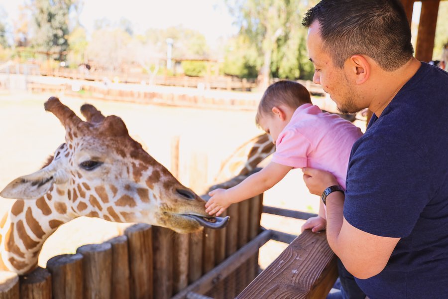 PHXValleyGuide's tweet photo. We love giraffe kisses! Check out the newly reopened Wildlife World Zoo to get your fill! 
 📷 Instagram @nickkoines https://t.co/0vaVUTSkig
