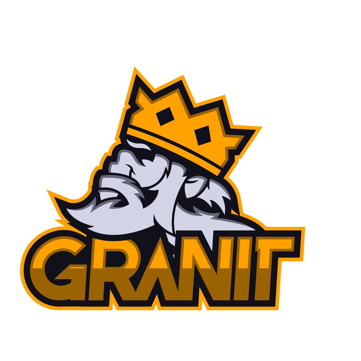 CR_Tavi's tweet photo. 🔎 | We are looking for well-experienced assistant manager and head coach to work with great staff and organization in @granitgaming/@GranitRoyale.

📩 | If you're interested to join, send me DM! https://t.co/HLTcR8Kpek