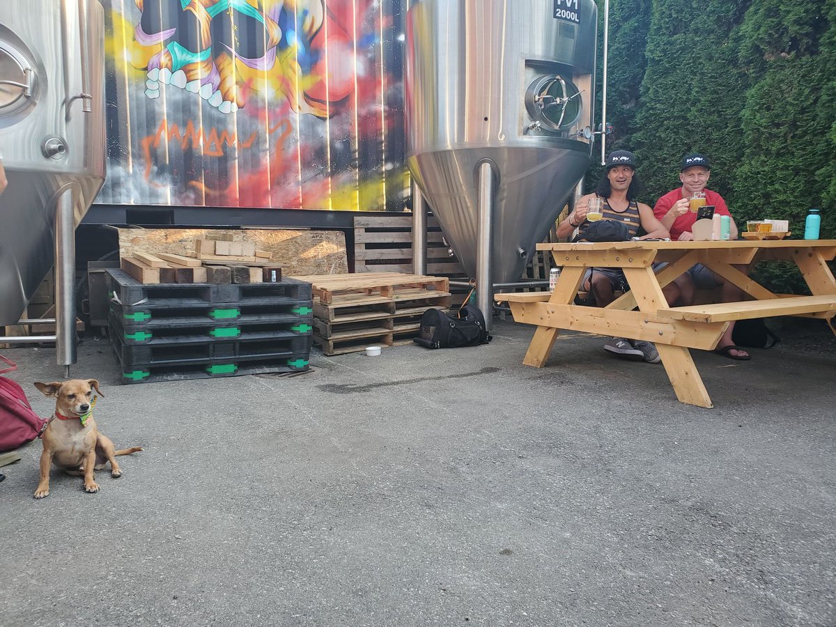 HyphaProject's tweet image. THANK YOU to everyone who came out &amp;amp; tasted The New Normal at Slow Hand this past weekend.

Didn't make it out? No worries, we still have a limited number of 4 packs available for sale on our website. Place your order &amp;amp; pick up from Slow Hand this Fri. &amp;amp; Sat.! #yvrcraftbeer #YVR