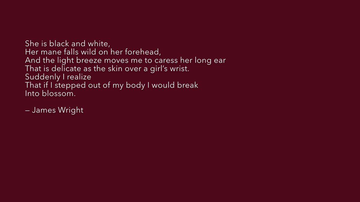 favepoem's tweet photo. "A Blessing" #JamesWright #Restoration #FavoritePoemProject #FPP https://t.co/r5xGiOwmM2