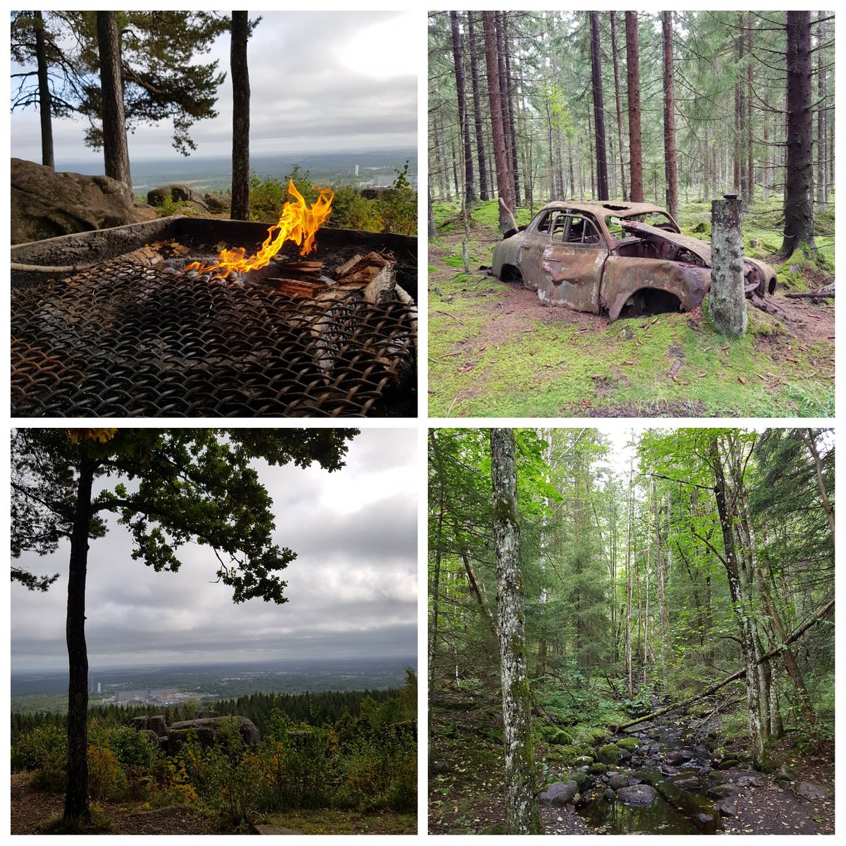 Annaaa85's tweet photo. Tog en semesterdag idag. Blev en vandring på #Billingen Grillade korv. Skrek på grodor, snokar, kopparormar och löv. https://t.co/rP9Yl5a0og