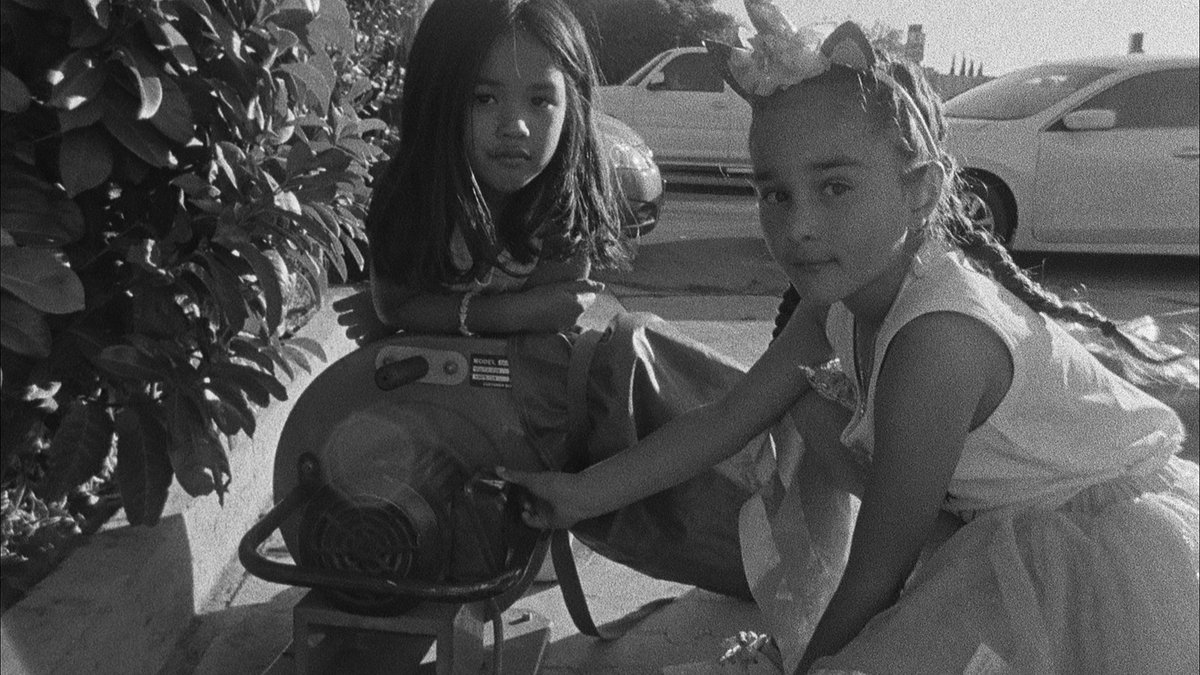 ttfilmfestival's tweet photo. In competition for Best Documentary Film, Atordoado, Eu Permaneço Atento (Stunned, I Remain Alert), is
screening until midnight to the English-speaking Caribbean at https://t.co/7ZjbxtLkHg with
Susana
Unpacking
Sinceramente, Candy (Sincerely, Candy)
#ttff20online #watchsomething https://t.co/6oQcO9e9Sj