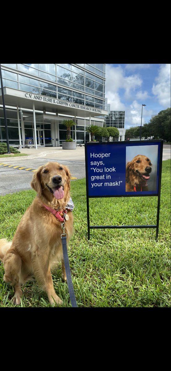 Pet Partners of North Florida tweet media