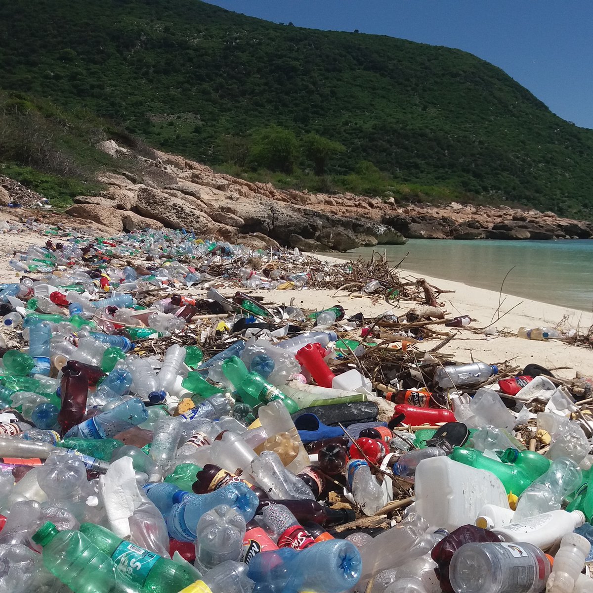4ocean's tweet image. Before ➡️ After⁠
⁠
Our professional cleanup crews in Haiti recently recovered 1,553 pounds of trash from a coastline along Grande Baie.⁠
⁠
This puts us at 10,426,778 total pounds of trash removed from the ocean, rivers, and coastlines to date!⁠