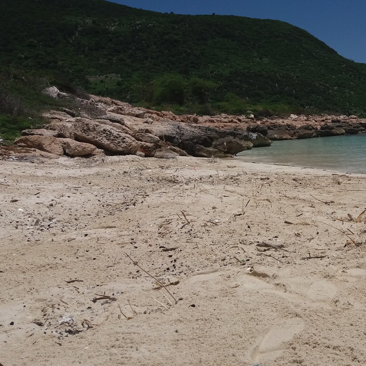 4ocean's tweet image. Before ➡️ After⁠
⁠
Our professional cleanup crews in Haiti recently recovered 1,553 pounds of trash from a coastline along Grande Baie.⁠
⁠
This puts us at 10,426,778 total pounds of trash removed from the ocean, rivers, and coastlines to date!⁠