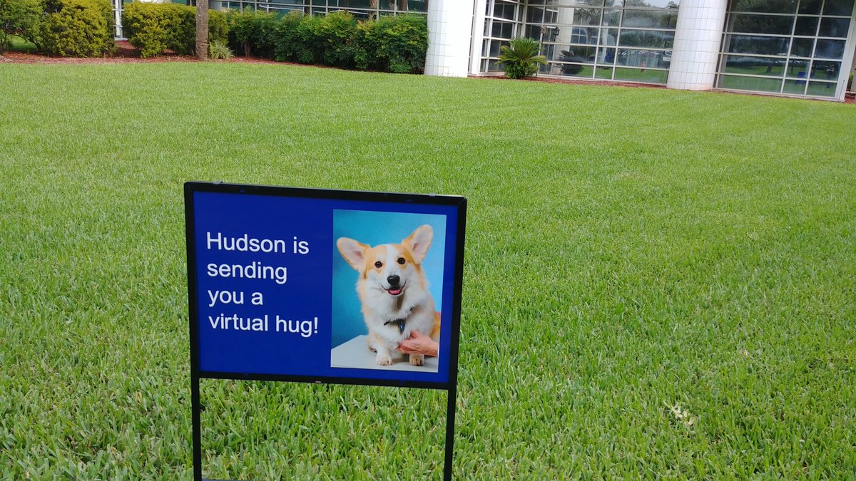 Tracy W Hilton tweet media