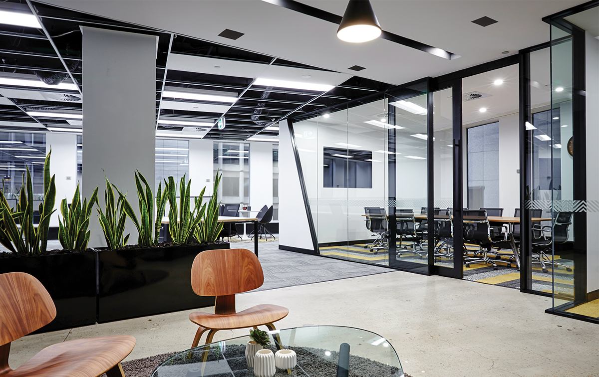 Sonance Professional Series In-Ceiling Speakers.
Clean look. Clean sound.

#designedtodisappear #sonancebeyondsound #luxurydistributedaudio #howdoyouwantyoursoundtolook #commercialaudio #residentialaudio #makingmusiccomfortable #musicmadeforyourlife #audio #speakers