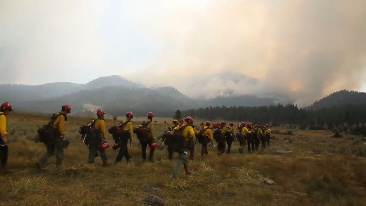 KOLO8's tweet image. #UPDATE: The #SlinkFire west of Coleville has burned 26,709 acres and is 54 percent contained.

STORY HERE: bit.ly/3khTrq5