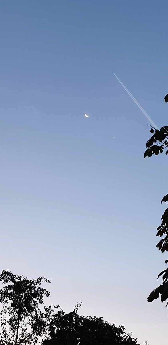 Kleines Morgen-Trio im Frühdienst erwischt.