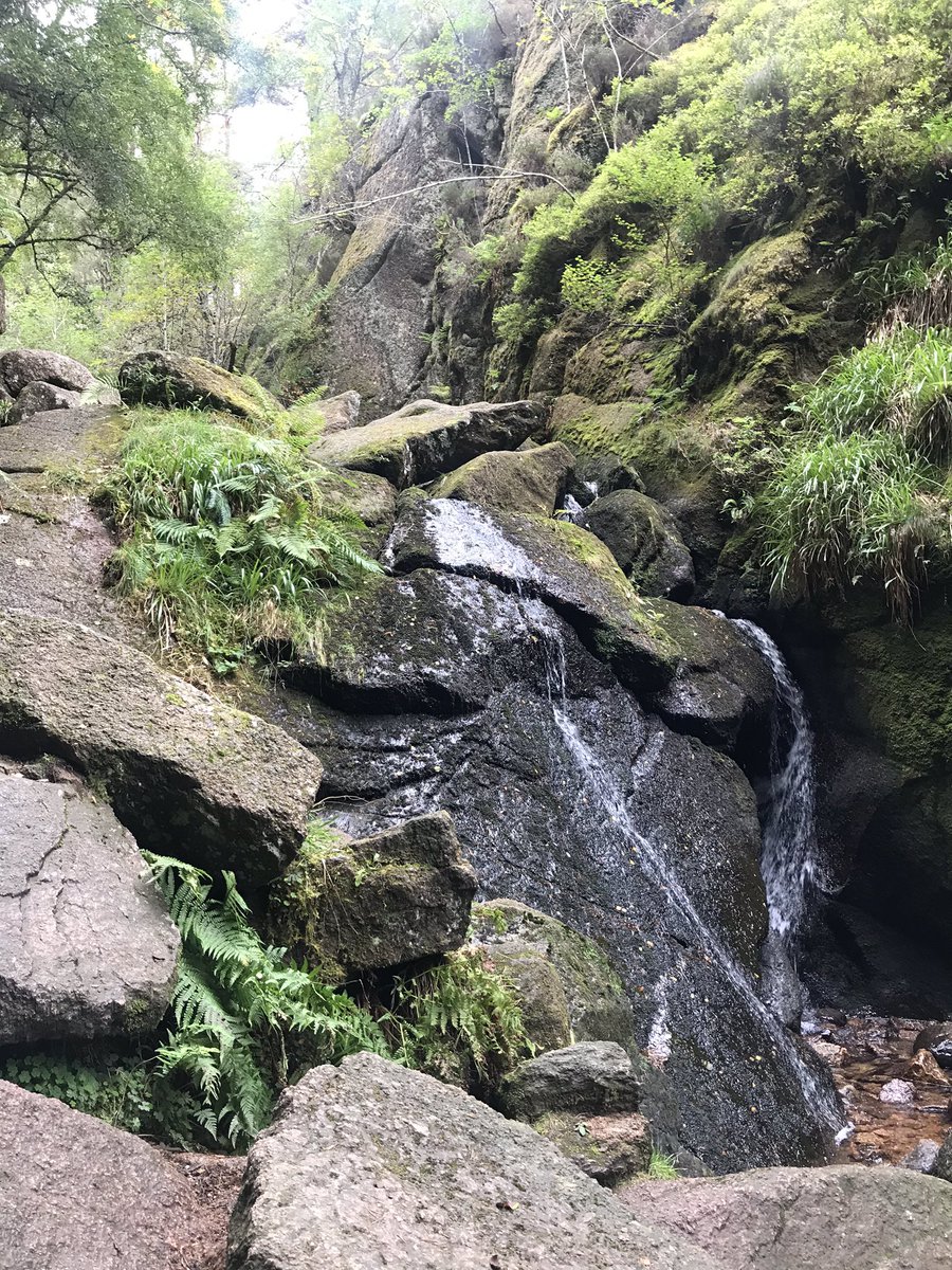 kilted_guide's tweet photo. #burnovat in #dinnet nature reserve. This granite cauldron was formed up to 14,000 years ago Beautiful, cool space which I used to visit when I was a lad! #visitscotland #STGAGuides #bluebadgetouristguide #qualifiedtouristguide #professionaltourguide #scotlandtravelguide https://t.co/fbA61ylXW0