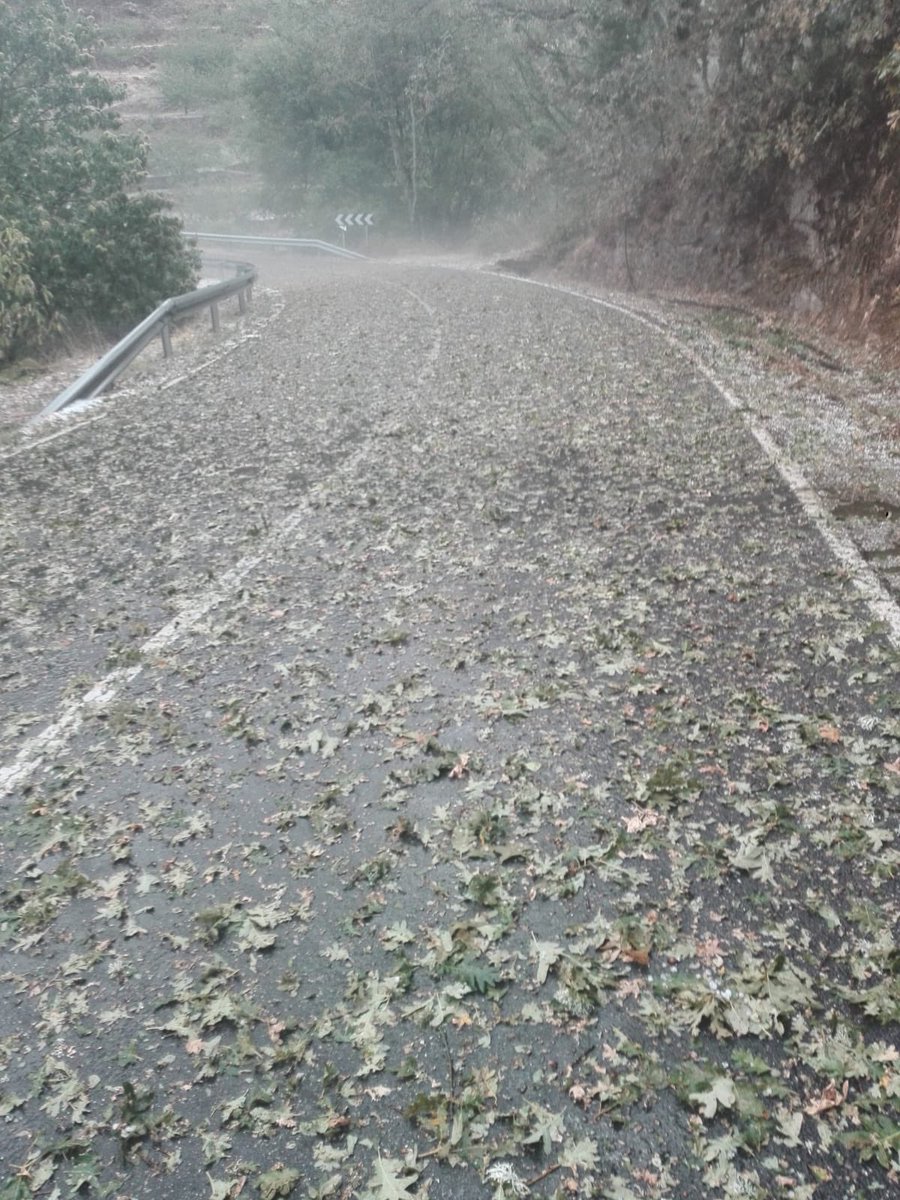 maria_hernandos's tweet photo. Granizada en Piornal hace apenas 15 minutos ❄️💦 #TheWinterisComming https://t.co/uX9uVRMuMW