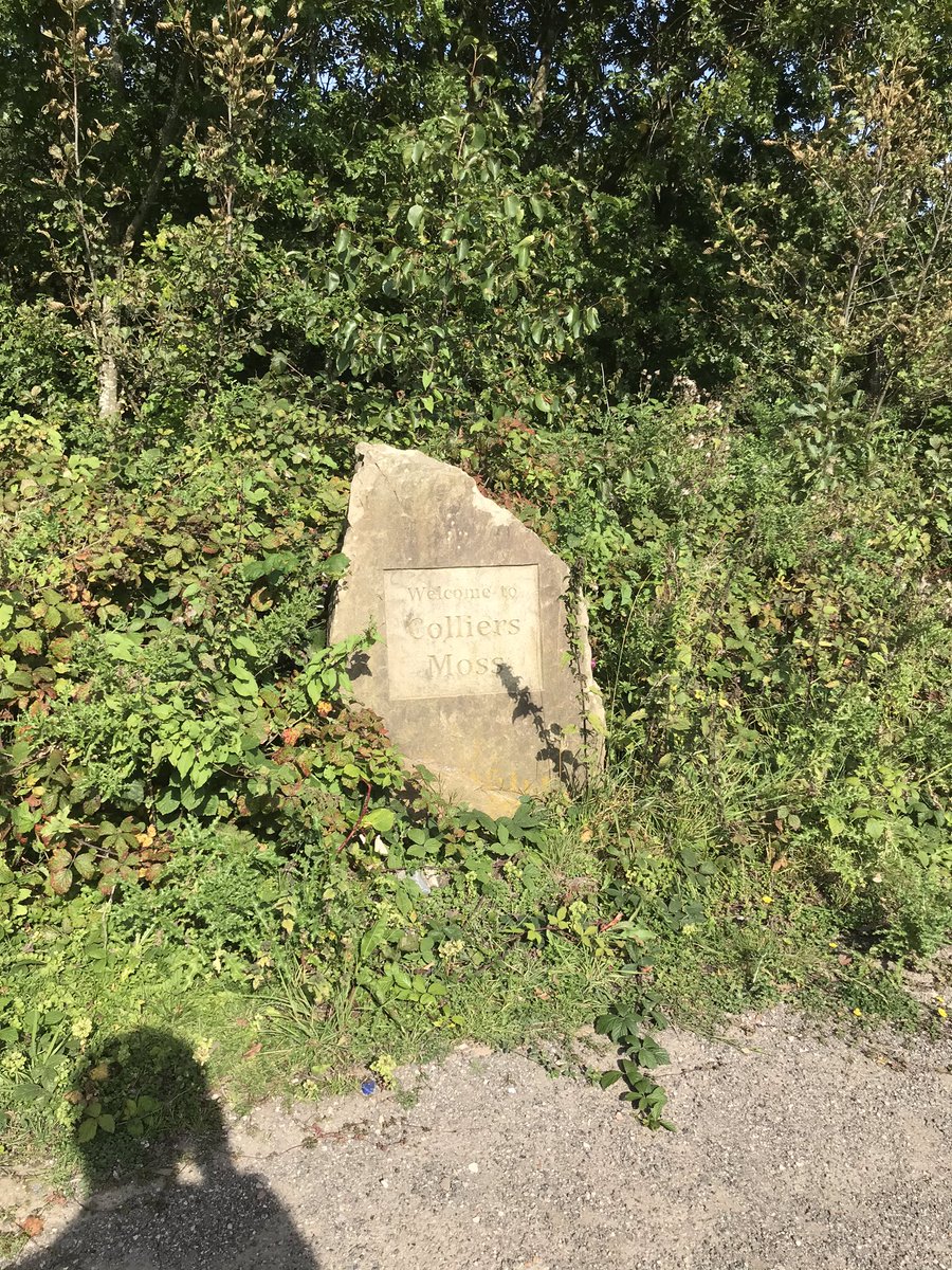 JohnMJames1's tweet photo. There’s a fascinating history of Colliers Moss that you can find on t’interweb. It’s been some journey for this quite extraordinary site. @groundworkuk @merseyforest #BoldColliery #BoldPowerStation #StHelens https://t.co/UxI90tfFBk