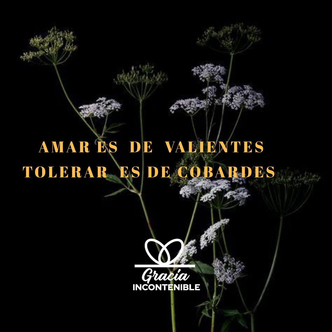 CdpcN's tweet photo. Amar es de valientes.
Tu decides cual quieres ser.
#GraciaIncontenible #Amamos #Creamos #Inspiramos https://t.co/tXtQp7UF1W