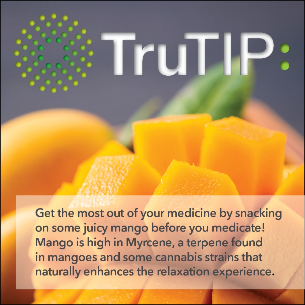 Trulieve's tweet photo. Here's a juicy #TruTip to brighten your Monday! 📝 👩‍🏫 
Mango the most out of your medicine at https://t.co/b7IUyuqMB4 🥭🌿 https://t.co/r3k3yIAza6