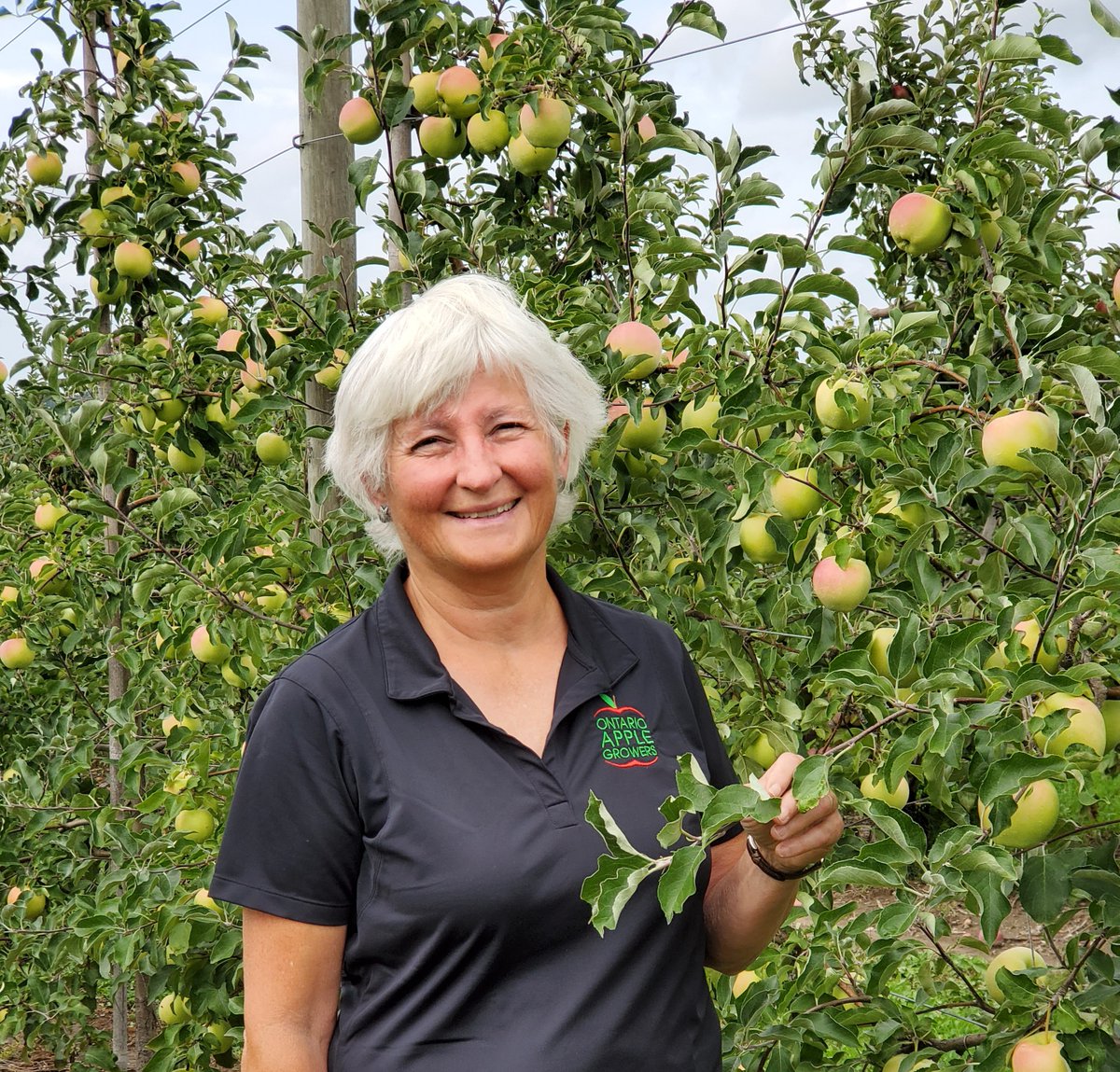 Ontario Apples tweet media