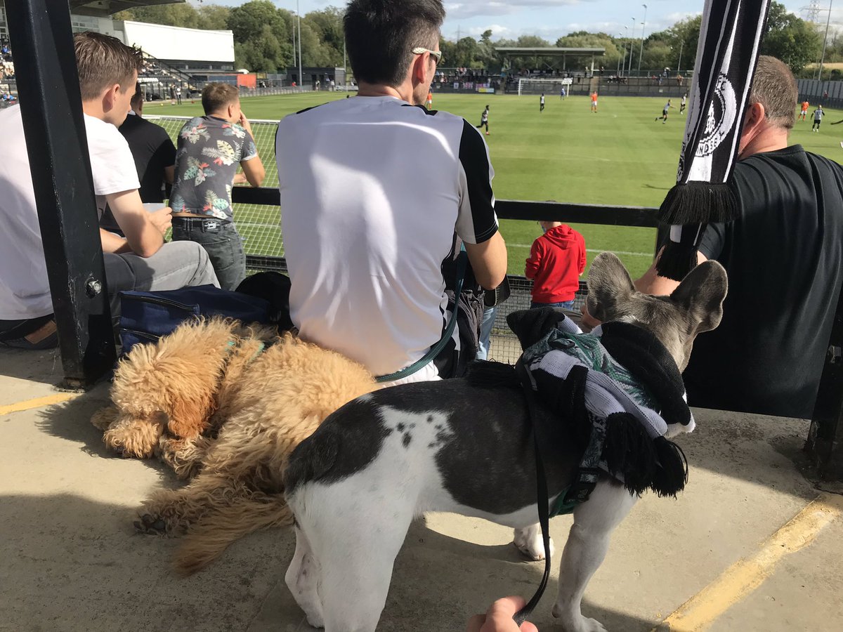 Let me formally introduce Dougal, <a href="/FisherFC/">Fisher FC</a>’s newest fan and match day friend for Pie, equally happy giving it large or napping on the terrace.  📸 <a href="/brockleylion/">Dave anderson</a> <a href="/cloudo85/">Chris Loudon</a> <a href="/cvhdavidblues/">David Warren</a> <a href="/A_LloydWilliams/">Andy Lloyd-Williams</a>