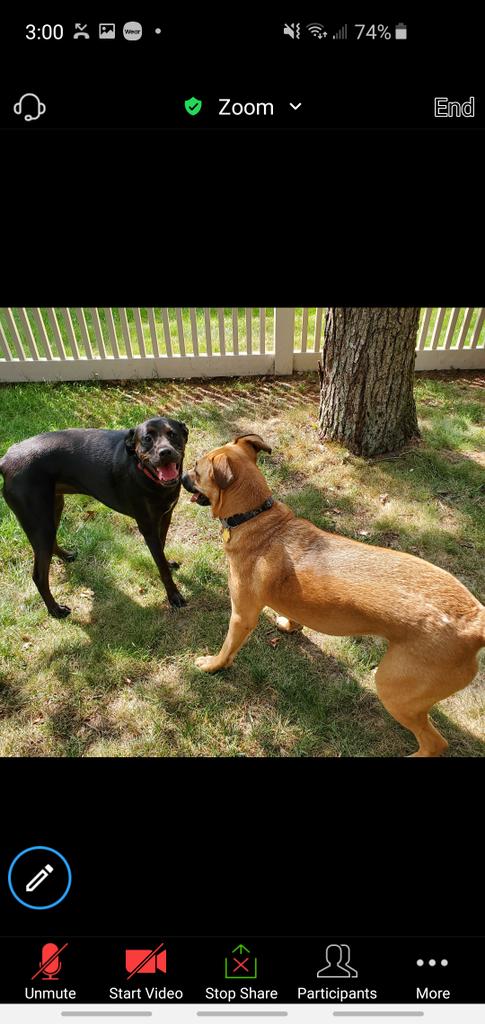 Dr. Maura Rosenthal tweet media