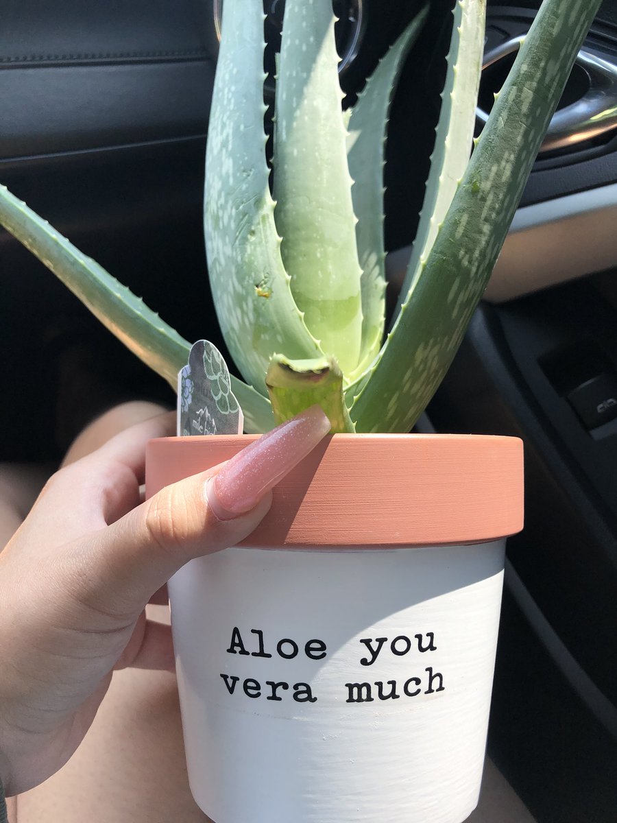 moniquelona's tweet photo. Isn’t she cute https://t.co/NTS5TGwgpw