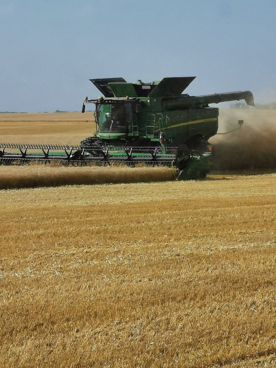 Louise Grain Growing Project will be having a harvest this Sunday afternoon at 2 pm for <a href="/Foodgrains/">Canadian Foodgrains Bank</a> 
Join us for the harvest, doughnuts and coffee south of Crystal City just off hwy 34 next to the Mennonite Church. Please retweet.