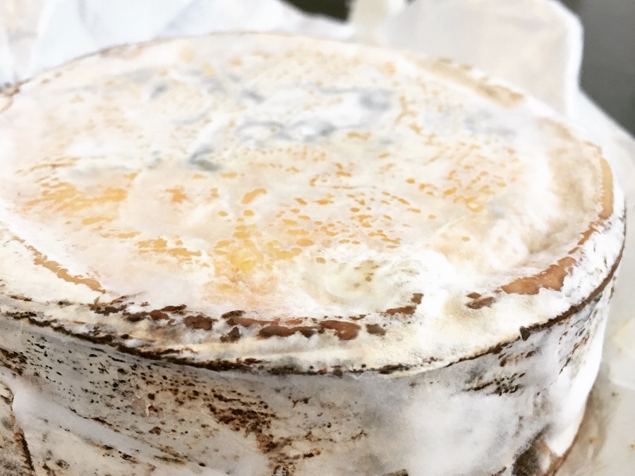 Orrman's Cheese Shop tweet media