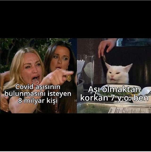 LaülüSadCat (@laulusadcat) on Twitter photo 